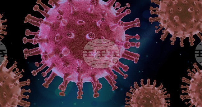 Първо заседание на новата комисия по инфекциозни болести в Република Северна Македония