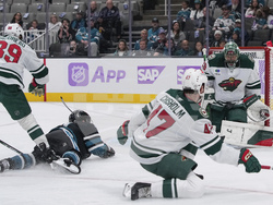 Wild Sharks Hockey