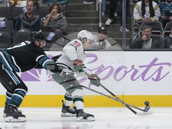 Wild Sharks Hockey