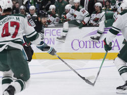 Wild Sharks Hockey