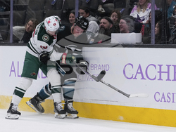 Wild Sharks Hockey