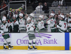 Wild Sharks Hockey