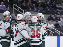 Wild Sharks Hockey