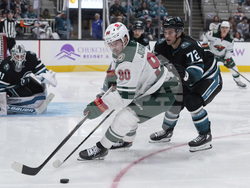 Wild Sharks Hockey