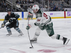 Wild Sharks Hockey