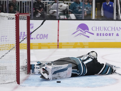 Wild Sharks Hockey