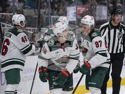 Wild Sharks Hockey
