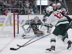 Wild Sharks Hockey
