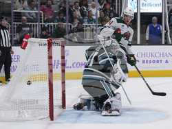 Wild Sharks Hockey