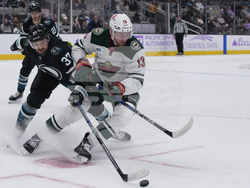 Wild Sharks Hockey