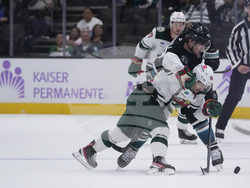 Wild Sharks Hockey