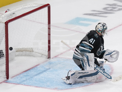 Wild Sharks Hockey