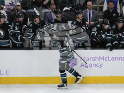 Wild Sharks Hockey
