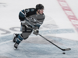 Wild Sharks Hockey