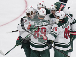 Wild Sharks Hockey