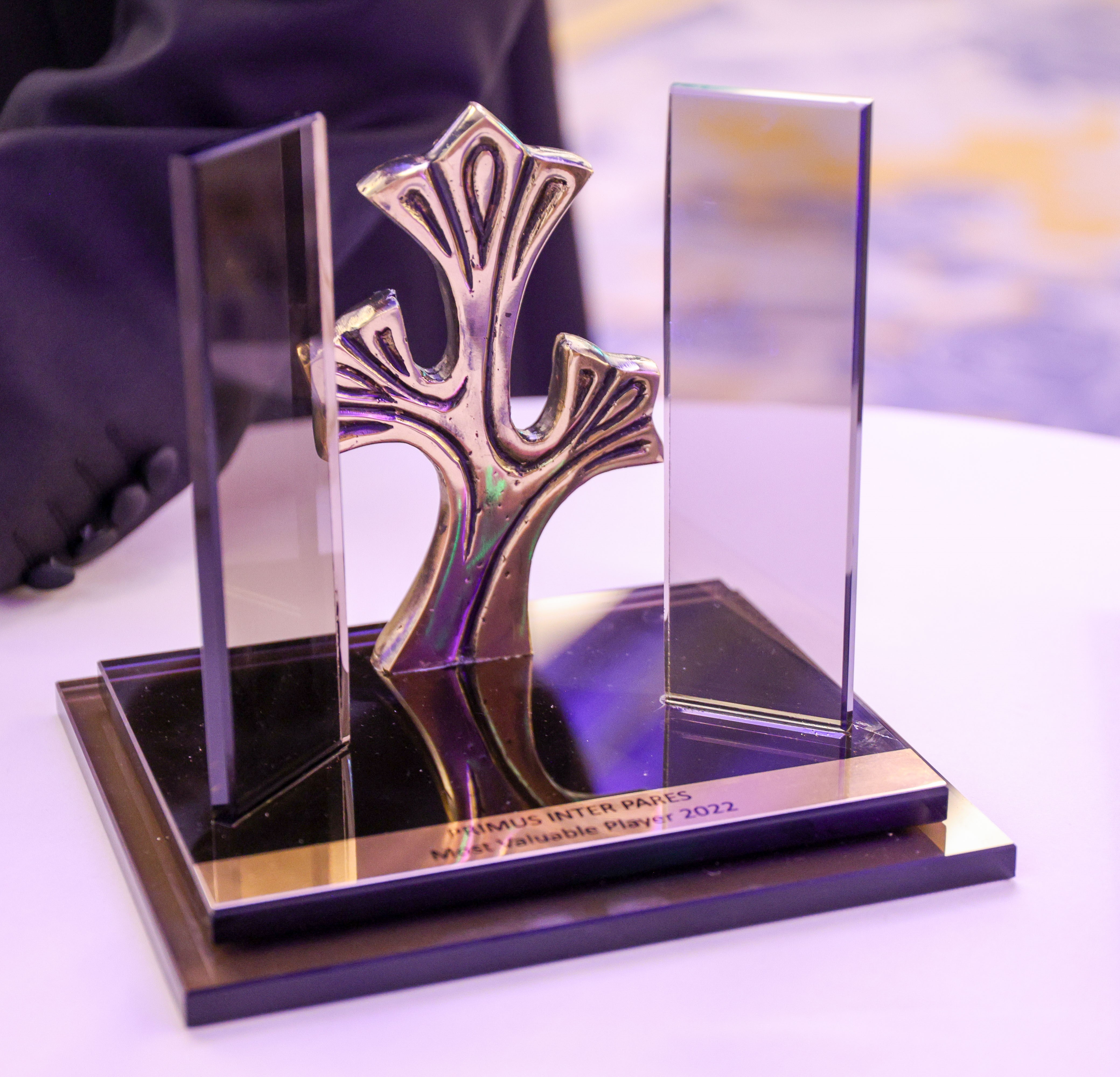 Belgium Bulgaria Luxembourg Business Club – Awards – Annual Gala