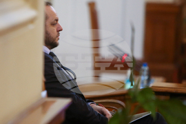 Парламент - Борислав Сандов - парламентарен контрол