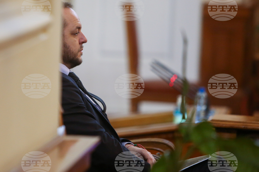 Парламент - Борислав Сандов - парламентарен контрол