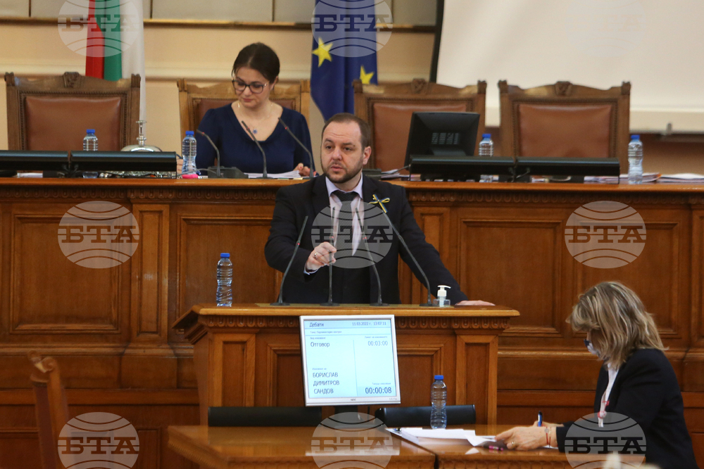 Парламент - Борислав Сандов - парламентарен контрол