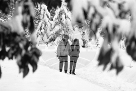 Снежна София през 1988 година