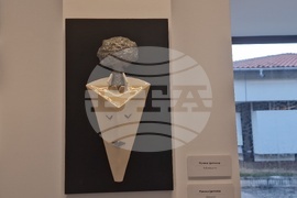 Троян - Орешак - НИХЗИ - изложба - Фестивал на съвременната българска керамика