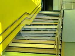 Снимка: Община Асеновград