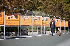 Бургас - "Зонта казва НЕ на насилието" - изложба