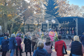 Генерал Тошево - Фестивал на сармата и кюфтето