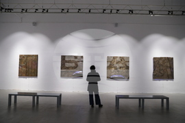 Проф. Георги Янков - изложба - откриване