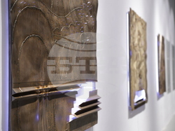 Проф. Георги Янков - изложба - откриване