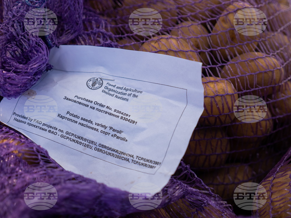 ФАО очертава три стълба на действие за инициативи в Украйна през 2023 г.