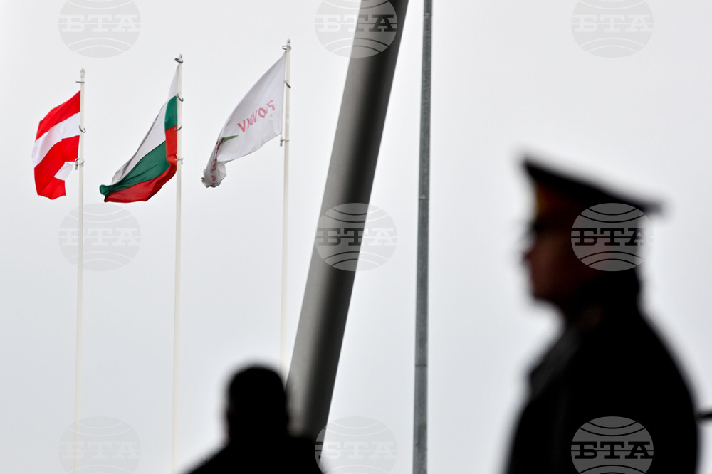 Expert: Trade Turnover between Bulgaria, Austria Will Exceed BGN 3 Bln in 2023