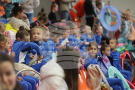 Художествена гимнастика - мастър клас - „Предизвикай себе си” 