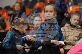 Художествена гимнастика - мастър клас - „Предизвикай себе си” 