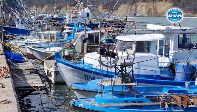 Осем нови понтонни кейове ще бъдат поставени на рибарското пристанище "Чайка" в Бяла