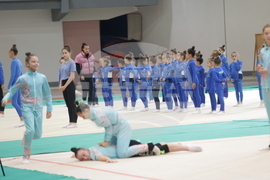 Художествена гимнастика - мастър клас - „Предизвикай себе си”