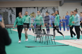 Художествена гимнастика - мастър клас - „Предизвикай себе си”