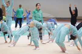 Художествена гимнастика - мастър клас - „Предизвикай себе си”