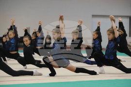 Художествена гимнастика - мастър клас - „Предизвикай себе си”