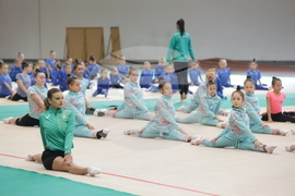 Художествена гимнастика - мастър клас - „Предизвикай себе си”