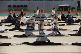 Художествена гимнастика - мастър клас - „Предизвикай себе си”