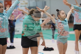 Художествена гимнастика - мастър клас - „Предизвикай себе си”