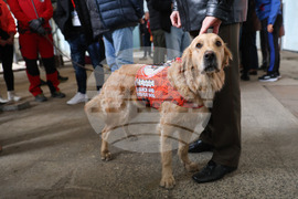 Бургас - „Спешна медицина при бедствени ситуации, тероризъм и тежък травматизъм” - научно-практическа конференция