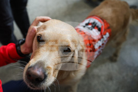 Бургас - „Спешна медицина при бедствени ситуации, тероризъм и тежък травматизъм” - научно-практическа конференция