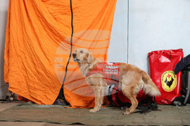 Бургас - „Спешна медицина при бедствени ситуации, тероризъм и тежък травматизъм” - научно-практическа конференция
