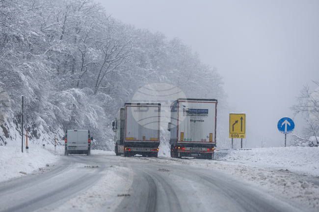 Обилни снеговалежи оставиха хиляди хора без електричество в Североизточна Словения и причиниха проблеми с трафика