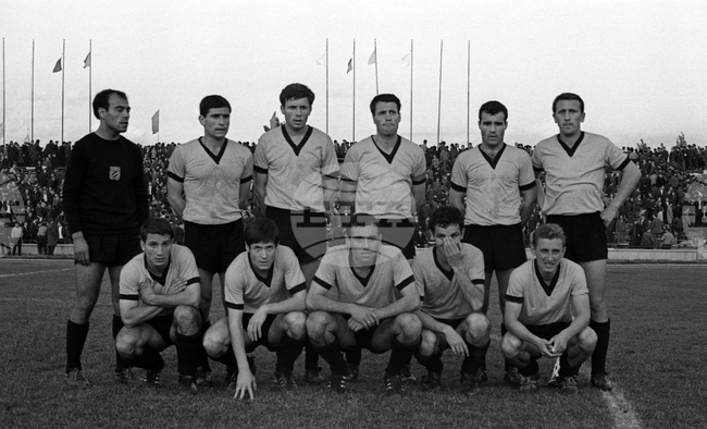 Професионален футболен клуб Ботев