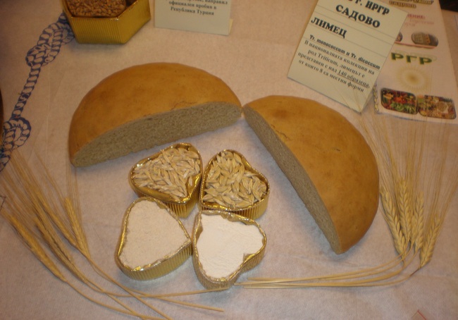 Bulgaria’s Collection of Plant Genetic Resources Is Largest in SE Europe – IPGR Director Assoc. Prof. Uzundzhalieva