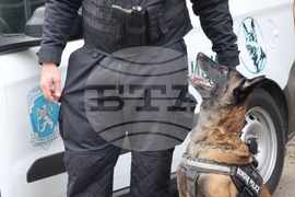 Елхово - Регионална дирекция „Гранична полиция”