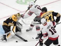 Senators Bruins Hockey